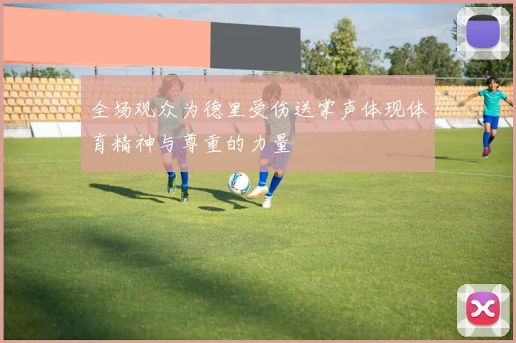 全场观众为德里受伤送掌声体现体育精神与尊重的力量