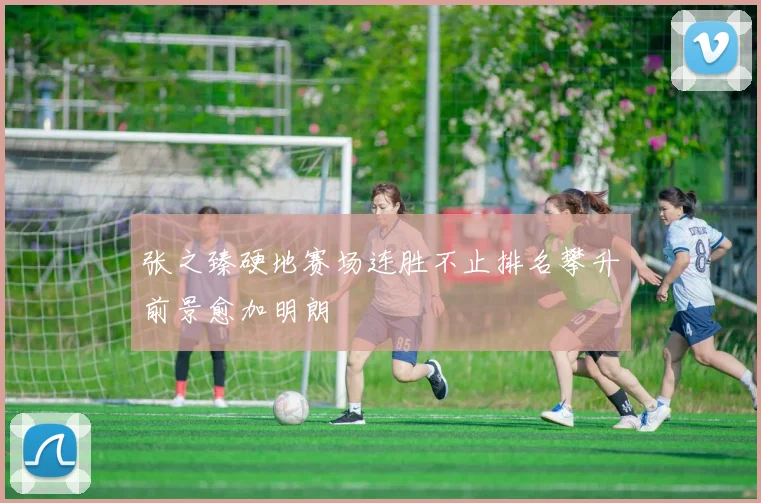 张之臻硬地赛场连胜不止排名攀升前景愈加明朗