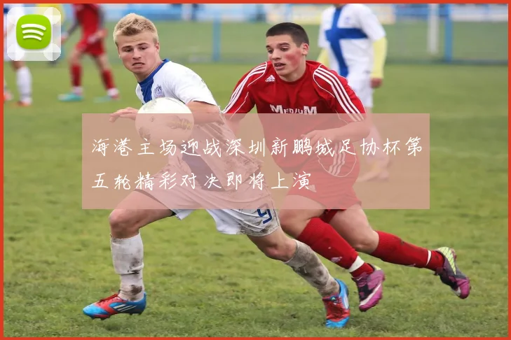 海港主场迎战深圳新鹏城足协杯第五轮精彩对决即将上演