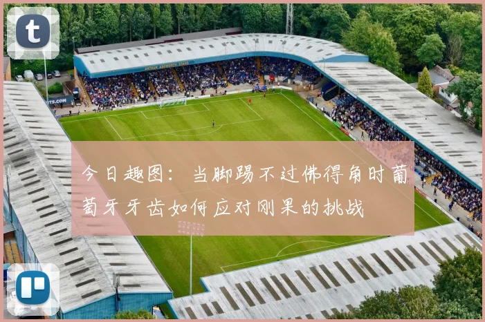 今日趣图：当脚踢不过佛得角时葡萄牙牙齿如何应对刚果的挑战